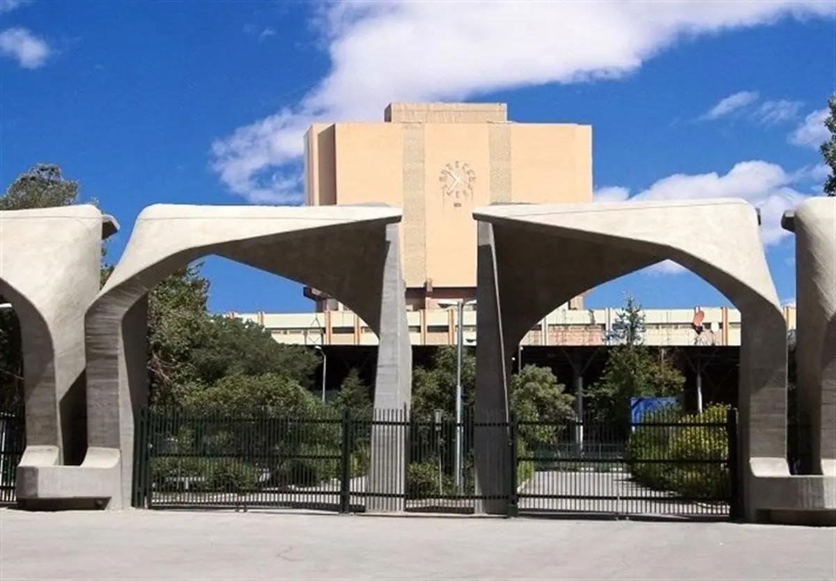 بیکاری در کدام رشته های تحصیلی بیشتر است؟