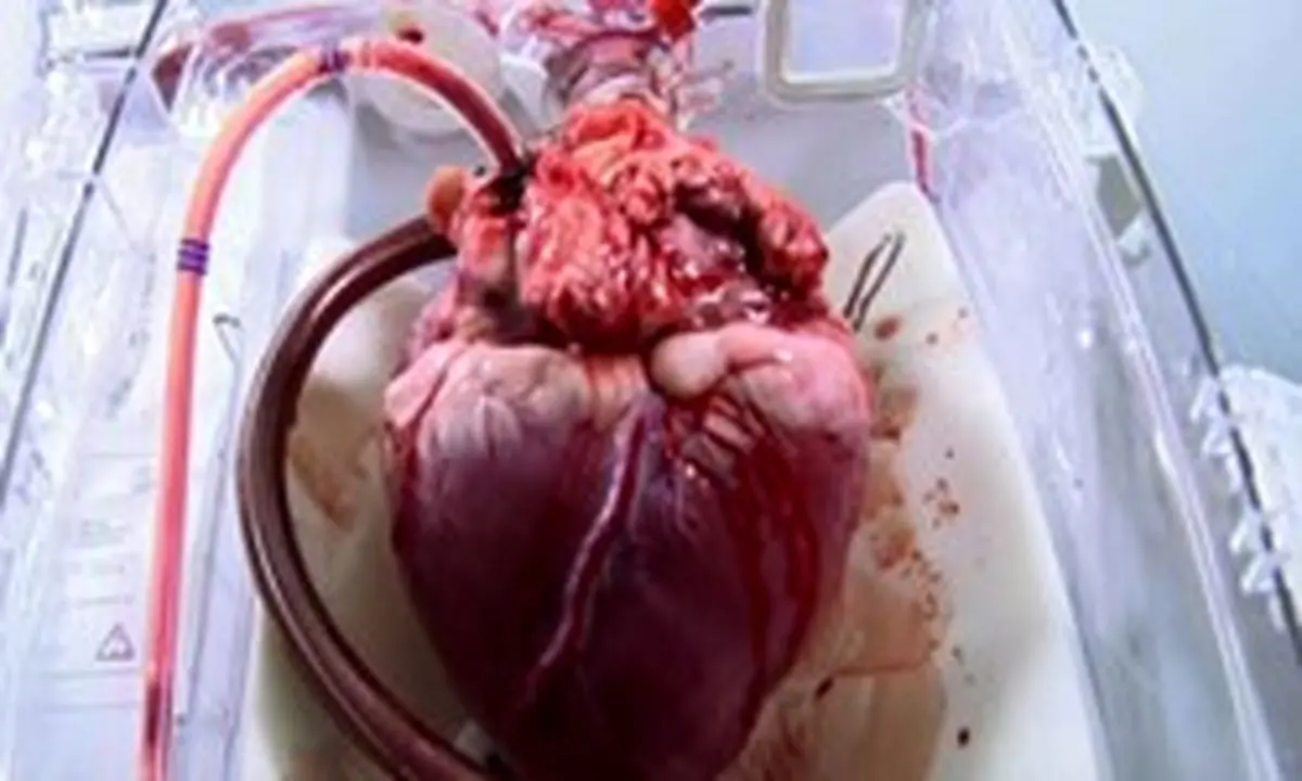 بیماری قلبی کشنده را بشناسید