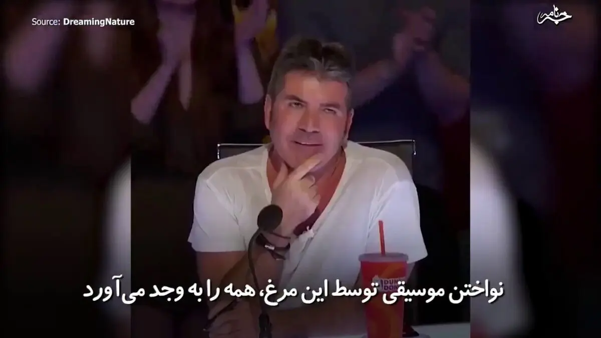 مرغ هنرمند!