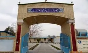 شاهکار سراوانی‌ها در کنکور سراسری/17 نفر از یک کلاس پزشکی قبول شدند+اسامی