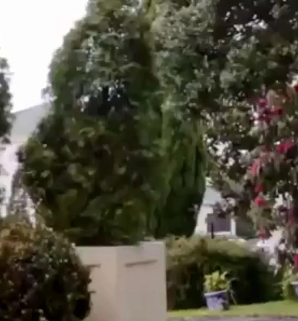 دوربین مخفی فوق العاده جالب