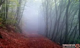 داستان افسانه‌ای ایرانی، که باعث حیرت جهانیان شد + تصاویر