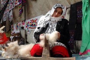 بانوی گلستانی به عنوان نخستین زن ایرانی درگنجینه زنده بشری ثبت شد