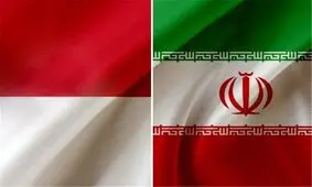 دیدار هیات پارلمانی ایران با نائب رئیس مجلس اندونزی