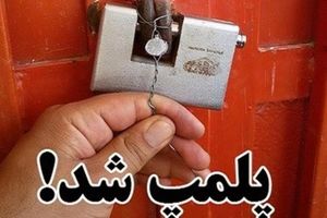 دو واحد مرغداری گوشتی متخلف در دهگلان پلمب شد