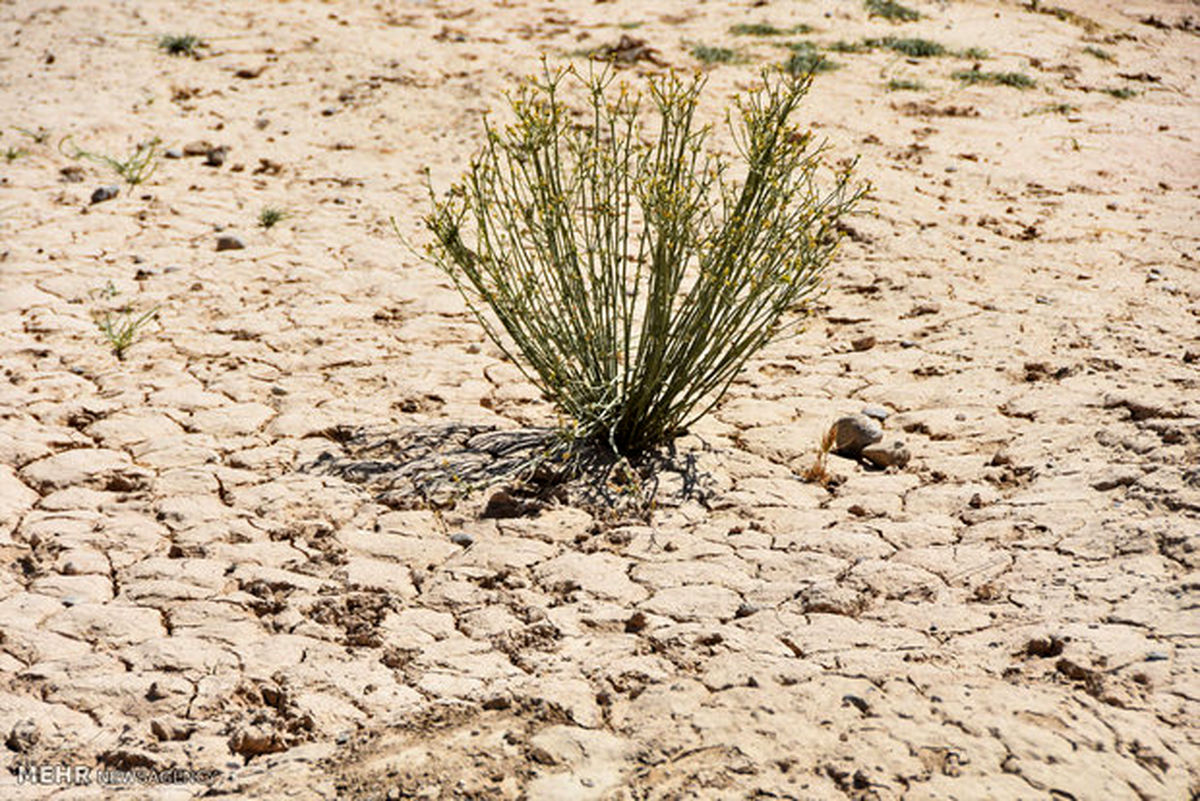 جنوب استان البرز از خشک‌سالی شدید رنج می‌برد