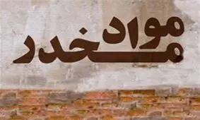 کشف موادمخدر از ۲ تاجیکستانی در فرودگاه مشهد