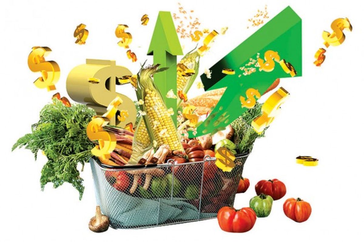 جو با چه قیمتی در بازار محصولات کشاورزی عرضه میشود؟