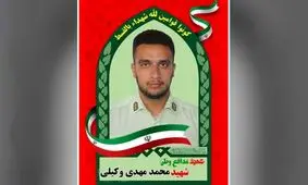 دستگیری عاملان شهادت مأمور پلیس البرز