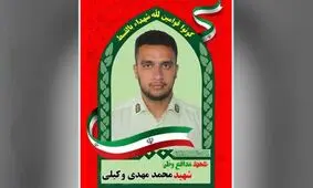 دستگیری عاملان شهادت مأمور پلیس البرز