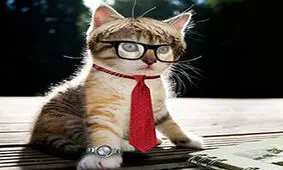 گربه با فرهنگ! + فیلم