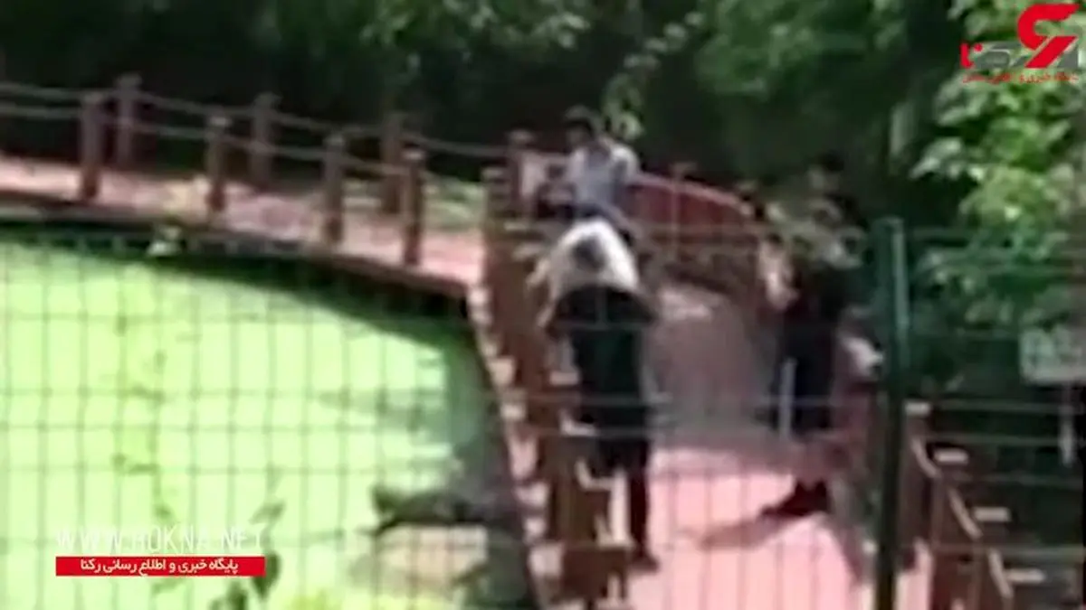 لگدپرانی یک توریست به کروکودیل برای عکس سلفی ! +فیلم