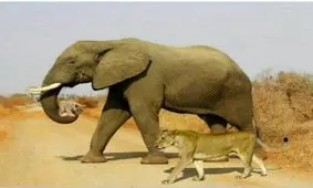 زیباترین عکس جهان