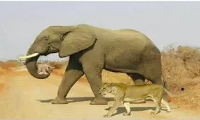 زیباترین عکس جهان