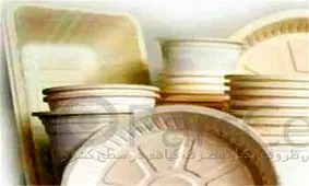 احتکار ۶۰۰ تن مواداولیه ساخت ظروف یکبار مصرف در جنوب تهران