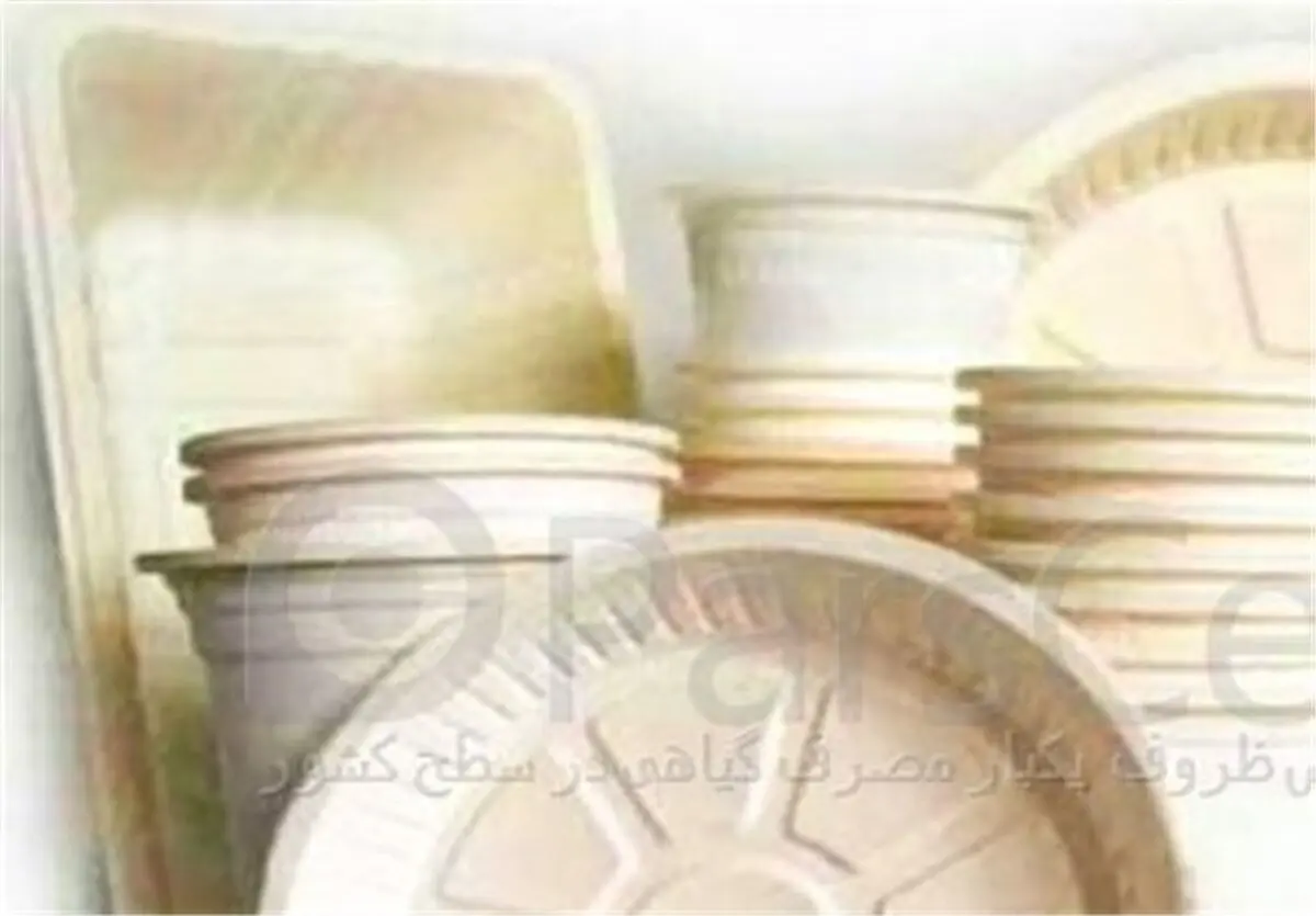 احتکار ۶۰۰ تن مواداولیه ساخت ظروف یکبار مصرف در جنوب تهران