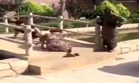 دوربین مخفی خنده دار چینی!