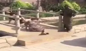 دوربین مخفی خنده دار چینی!