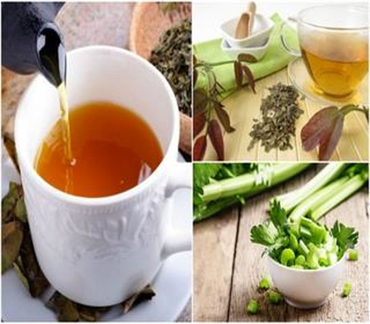 تمام گزینه های گیاهی برای پاکسازی سیستم لنفاوی!