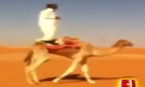 آخر بدشانسی!