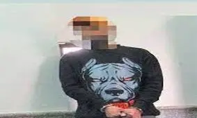 سرقت برای پس دادن پول نزول