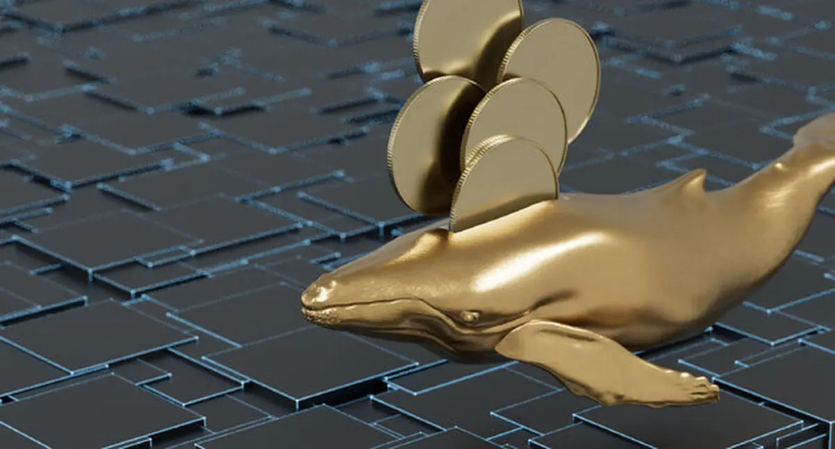 کدام دارندگان بیت کوین سود می‌کنند؟