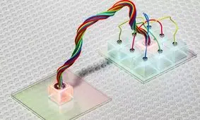 یک قدم نزدیک‌تر به اینترنت کوانتومی؛ برای اولین‌بار اطلاعات به حافظه جامد تله‌پورت شد

