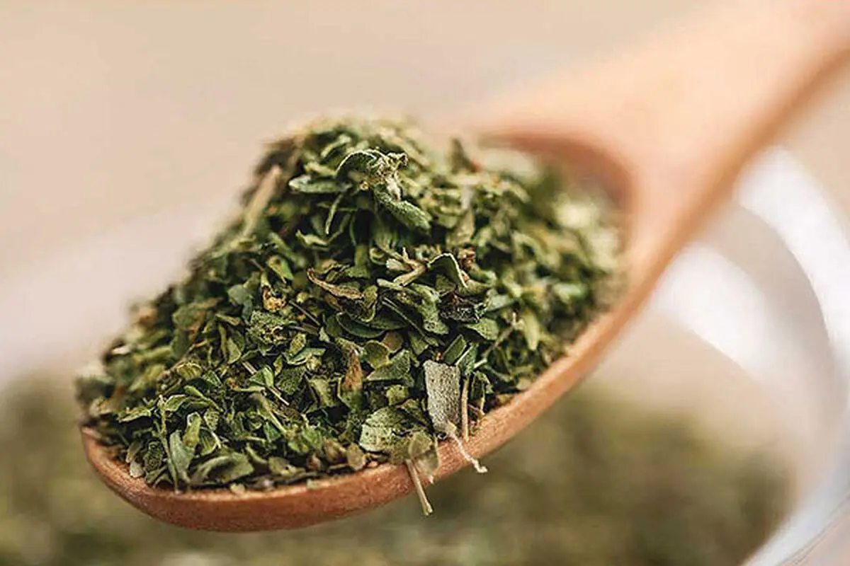 ۶ چاشنی معطر تابستانی که خواص معجزه‌آسا دارند