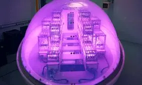 غلاف های بادی برای پرورش محصولات کشاورزی در مریخ