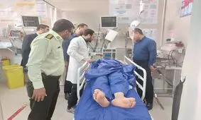 ورود دادستانی به حادثه چاقو خوردن نمازگزاران مسجدی در شیراز

