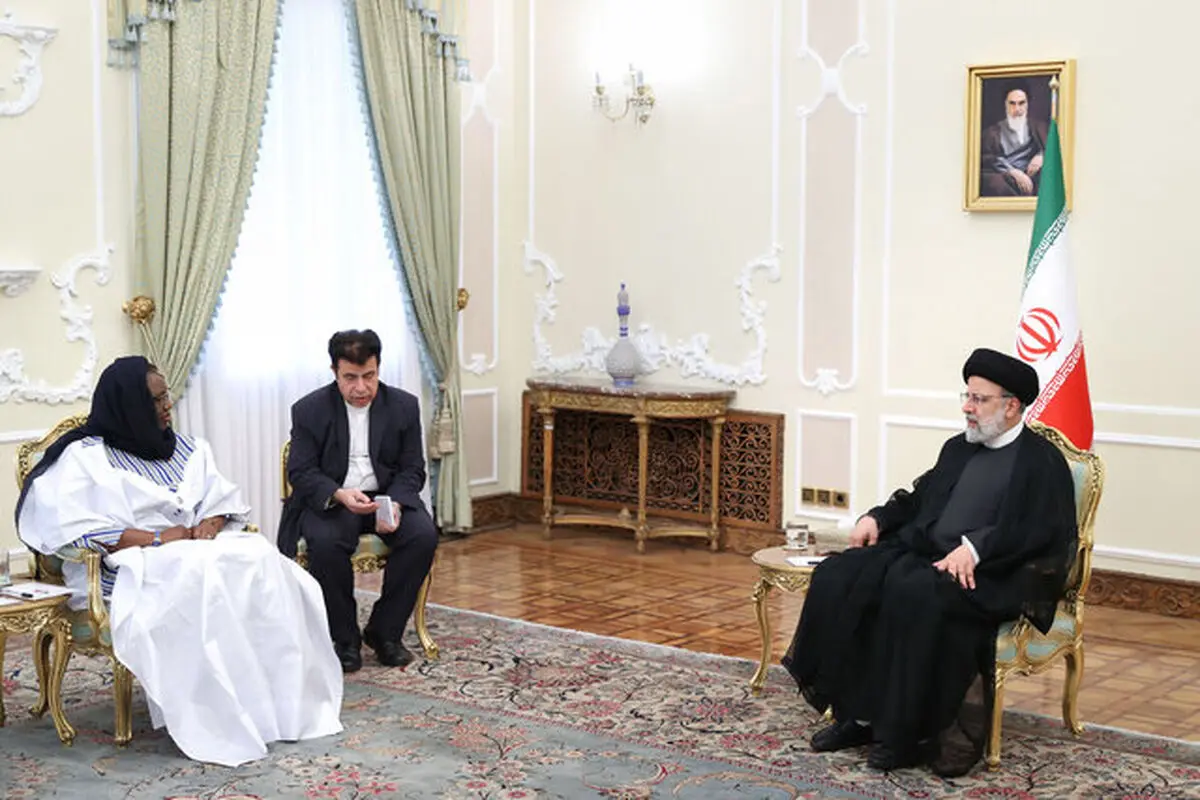 اعلام آمادگی ایران برای انتقال دستاوردهای خود به آفریقا

