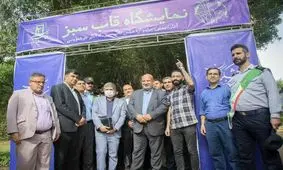 قابِ سبز در سبزه‌زارهای نیشکر