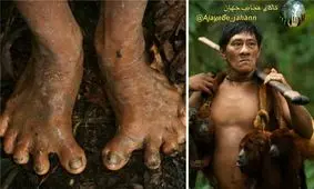 قبیله ای با روش زندگی تارزان