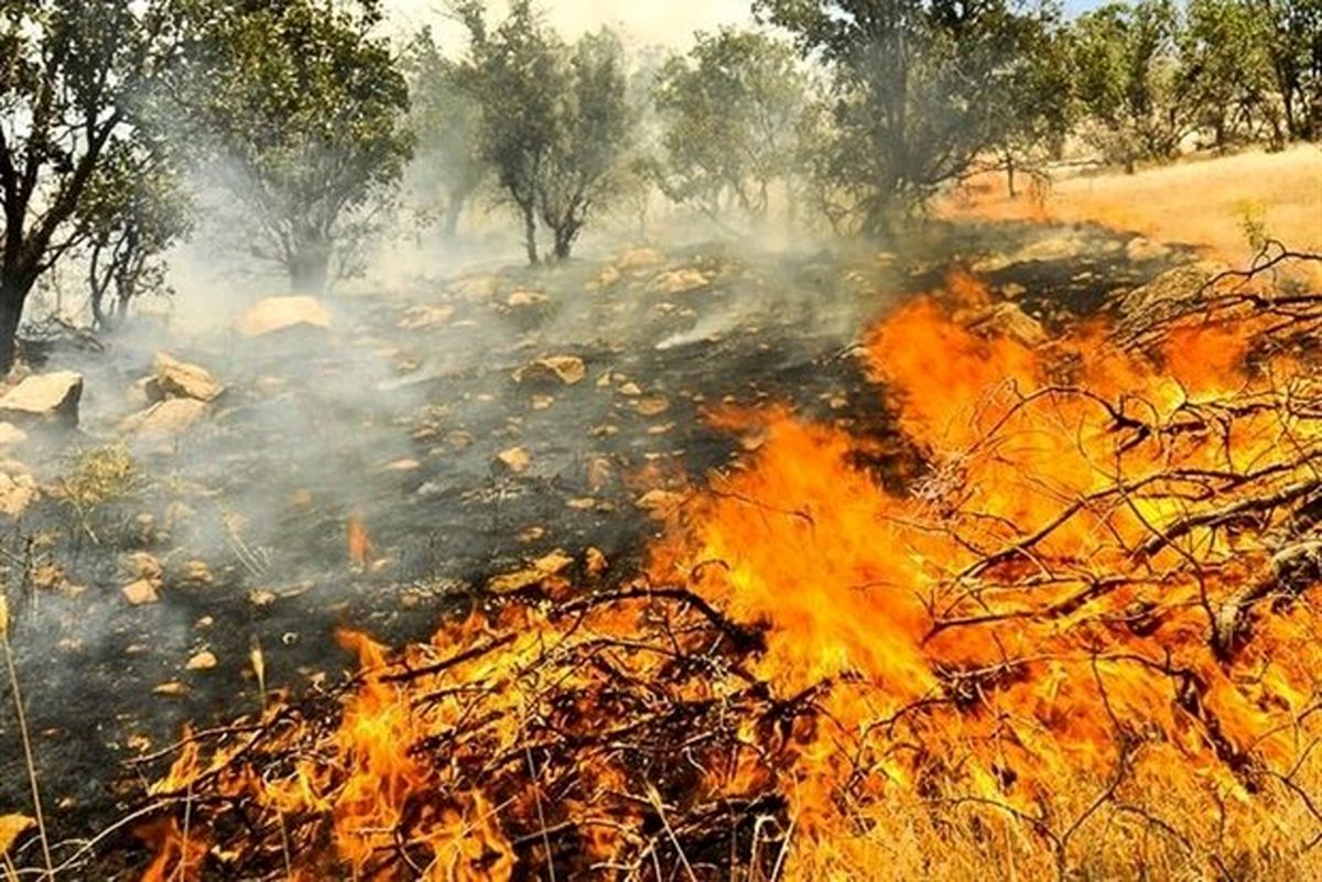 ۵۰ هکتار از اراضی مرتعی جنگل درازنو در آتش سوخت