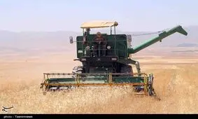 نرخ خرید تضمینی گندم باید ۲۰ درصد افزایش یابد