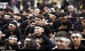 همایش " احلی من العسل" در حرم مطهر حضرت معصومه(س) به روایت تصویر