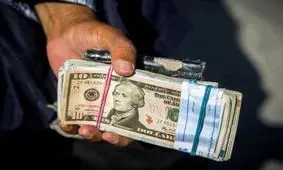 دلار ۱۳ هزار تومانی حباب دارد/ واقعی نکردن نرخ ارز کار دستمان داد!