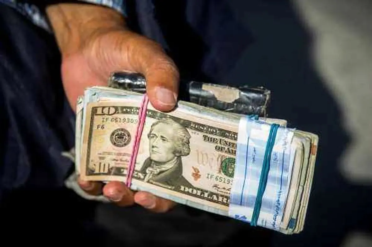 دلار ۱۳ هزار تومانی حباب دارد/ واقعی نکردن نرخ ارز کار دستمان داد!