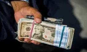 دلار ۱۳ هزار تومانی حباب دارد/ واقعی نکردن نرخ ارز کار دستمان داد!