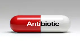 بعد از مصرف آنتی بیوتیک حتما این غذا ها را بخورید!