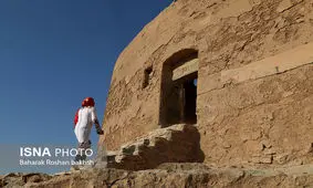 دست کرکس‌ها به مردگان زرتشتیان نمی‌رسد +تصاویر