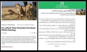 گاف یوزپلنگی روابط عمومی سازمان حفاظت محیط زیست