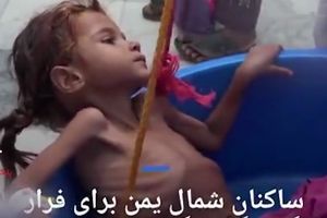 یمنی ها از گرسنگی برگ های درختان را می خورند!+تصویر