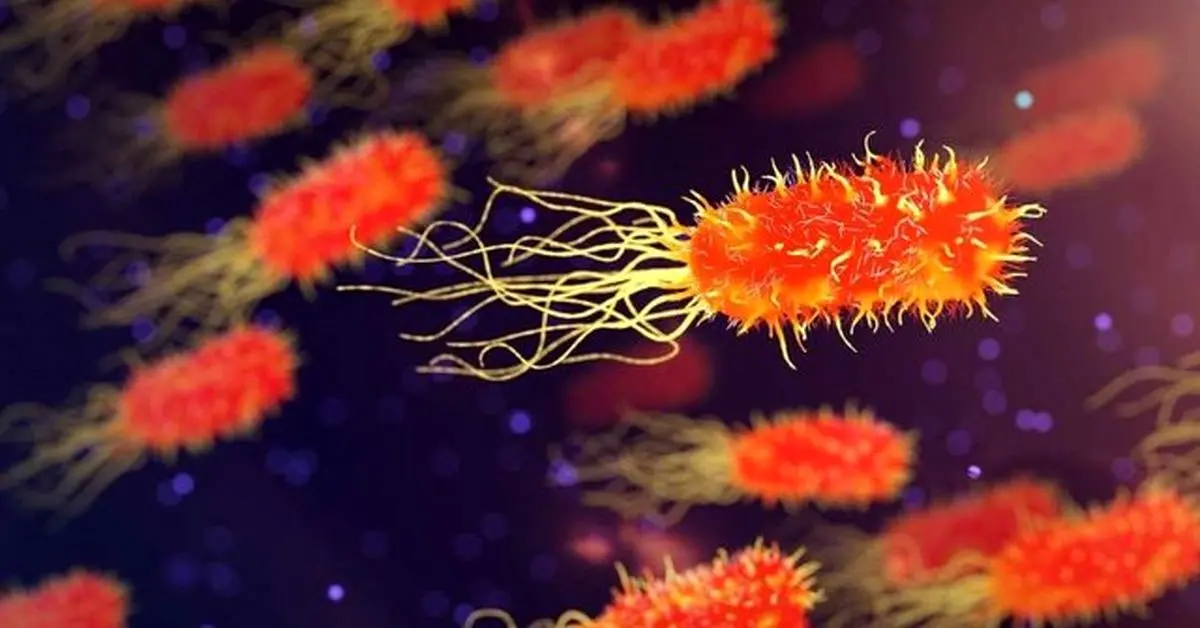 غذای آلوده با بدن شما چه می‌کند؟