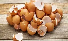 خواص پوست تخم مرغ که نمی دانستید
