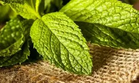 معجزه برگ های پرخاصیت برای پوست صورت