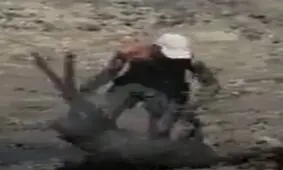 نجات شاجاعانه آهو از مرداب