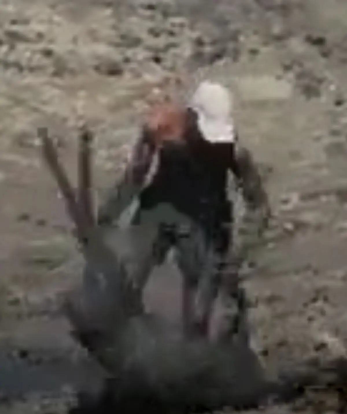 نجات شاجاعانه آهو از مرداب