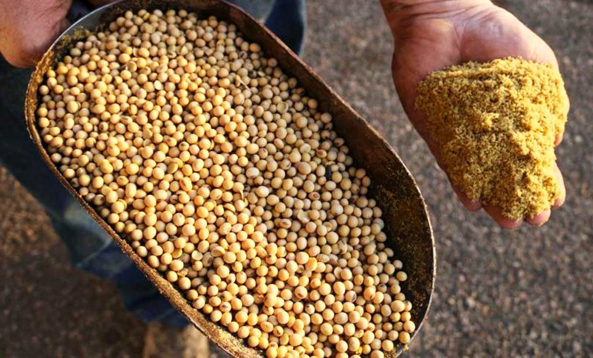 نرخ کنجاله سویا در بازار کاهش یافت