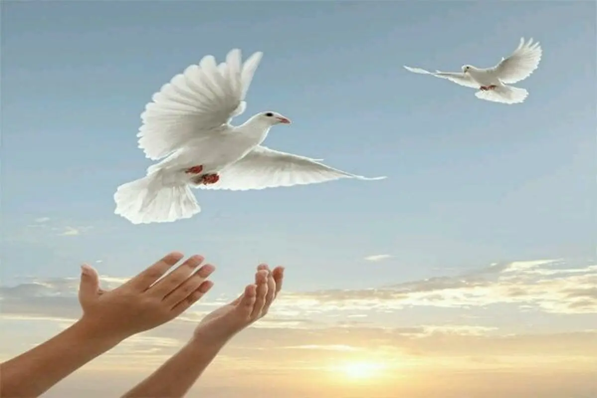 نذرهایی برای رهایی/آزادی ۱۸ زندانی با نذورات حسینی